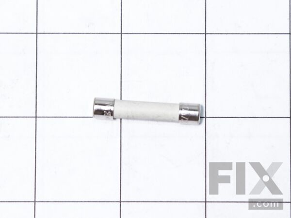 10065161-1-M-GE-WE1X21975-Fuse
