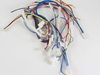 10066272-2-S-Frigidaire-5304499581-WIRING HARNESS