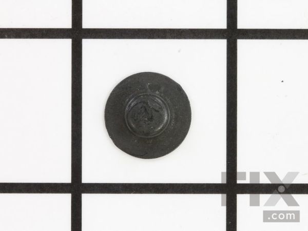 10069521-1-M-Murray-704066-Pushnut, Cap Wshr,1/4