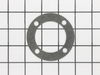 Cylinder Gasket – Part Number: CW4202
