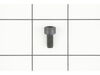 Screw (M5 X 10 mm) – Part Number: 020601003