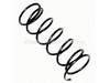 Spring – Part Number: 089100121038