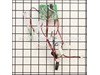 Assembly Switch-circuit Board – Part Number: 270013062