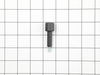 10080674-1-S-Ryobi-303475000-Dust Chute Knob