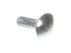 10080990-3-S-Ryobi-410032004-Carriage Bolt M6 X 18