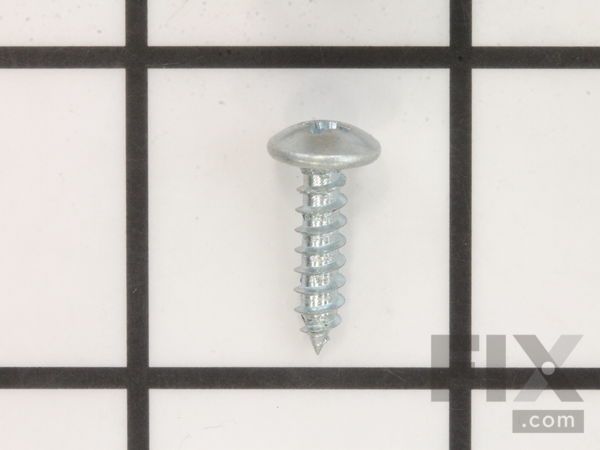 10081063-1-M-Ryobi-410192002-Tapping Pan Head Screw M4 X 1