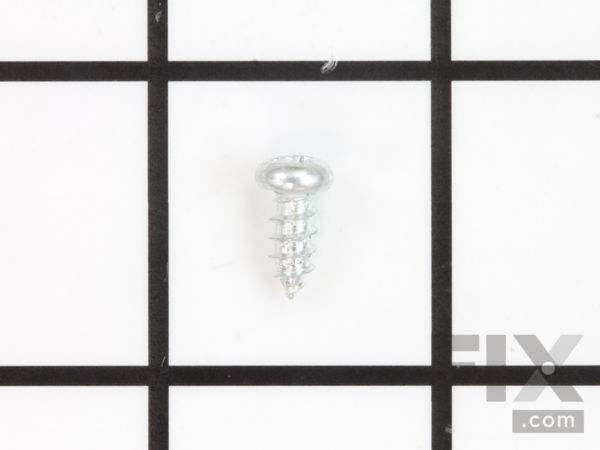 10081102-1-M-Ryobi-410452004-Self Tapping Screw Pan Head