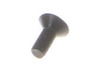 10083597-2-S-Ryobi-660213008-Screw M4 X 10 Mm Flat Hd.