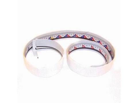 10085431-1-M-Ryobi-9181015330301-Scale Label