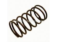 Spring – Part Number: BS90108400