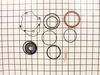 Overhaul Maintenance Kit – Part Number: 079019001035