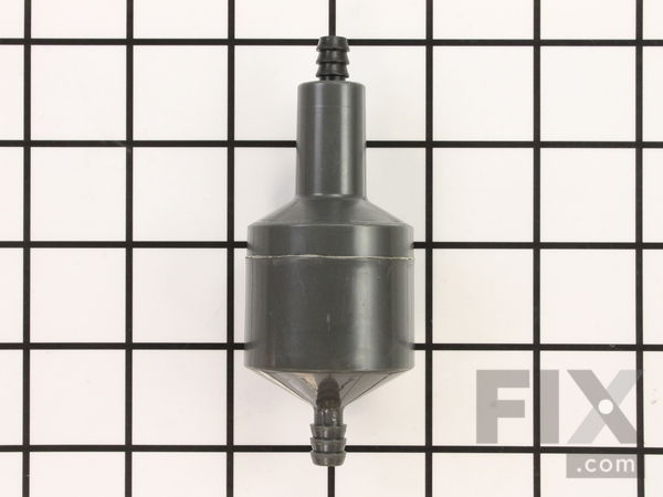 10091129-1-M-Ridgid-080009006239-Check Valve