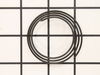 10092124-2-S-Ridgid-089036005014-Volute Spring
