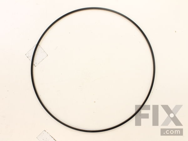 10092907-1-M-Ridgid-089077001005-Wear Ring