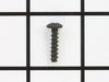 10093157-1-S-Ridgid-089110113148-Screw