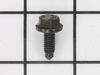 10093873-1-S-Ridgid-17513-Screw