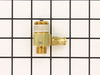 10093879-2-S-Ridgid-17728-Check Valve