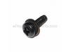 10093893-1-S-Ridgid-17928-Shroud Screw