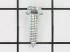 10094859-1-S-Ridgid-27067-Self-tapping Screw (2 Req. F/g