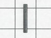 10095501-1-S-Ridgid-31690-Pin