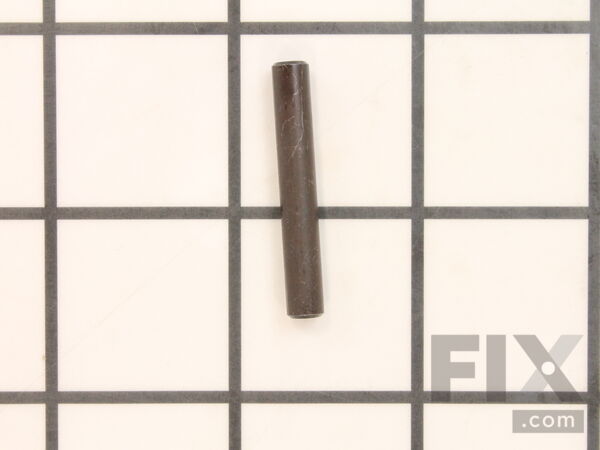 10095501-2-M-Ridgid-31690-Pin