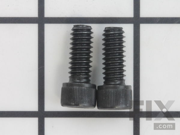 10095596-1-M-Ridgid-32205-Screw, 1/4
