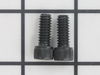 10095596-1-S-Ridgid-32205-Screw, 1/4