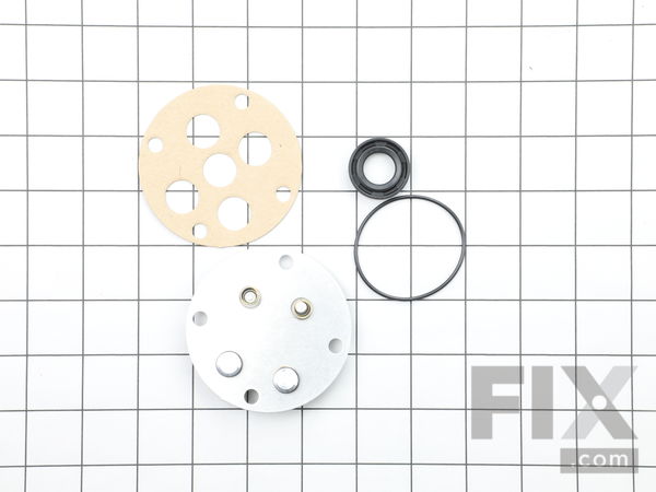 10095729-1-M-Ridgid-33422-Kit, Ml Pump Service