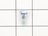 10096635-1-S-Ridgid-39990-Drive Plate Screw