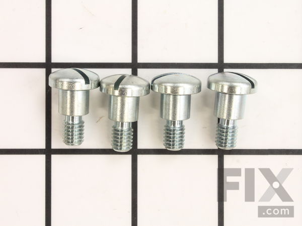 10096635-2-M-Ridgid-39990-Drive Plate Screw