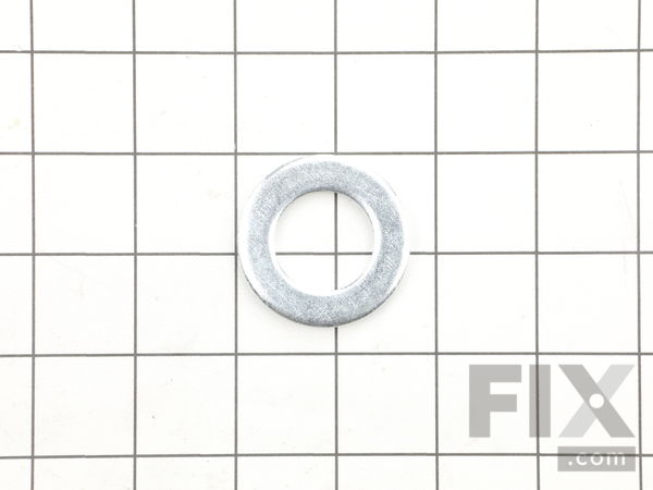 10097181-1-M-Ridgid-43936-Washer