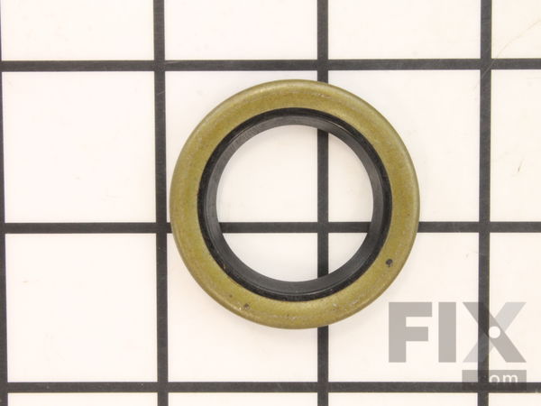 10097352-1-M-Ridgid-45085-Seal