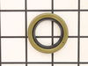 10097352-1-S-Ridgid-45085-Seal