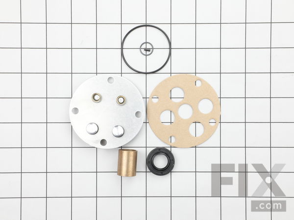 10099229-1-M-Ridgid-61977-Pump Repair Kit