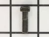 10100066-2-S-Ridgid-660865002-Screw (1/4-20)
