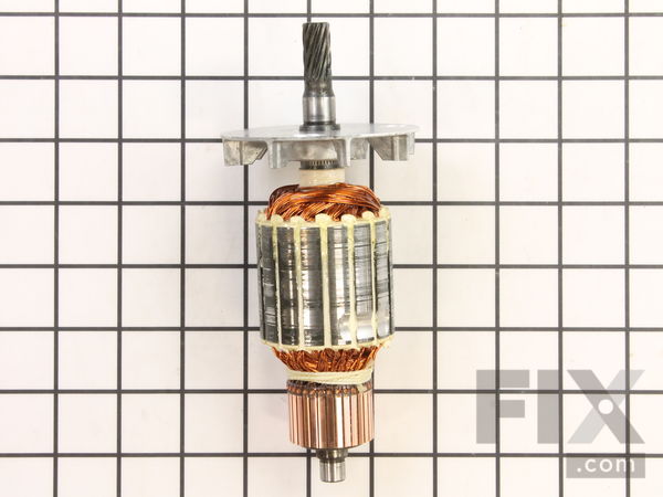 10100774-1-M-Ridgid-69477-Armature 115V