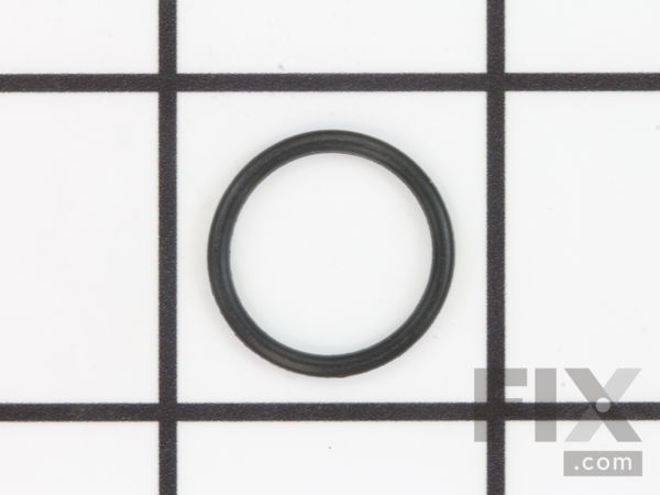 10100842-1-M-Ridgid-71242-O-Ring