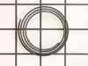 10101827-2-S-Ridgid-816677-Ic Spring Guard