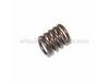 10102203-1-S-Ridgid-823743-Spring
