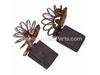 Brush Set (2 Brushes) – Part Number: 826016