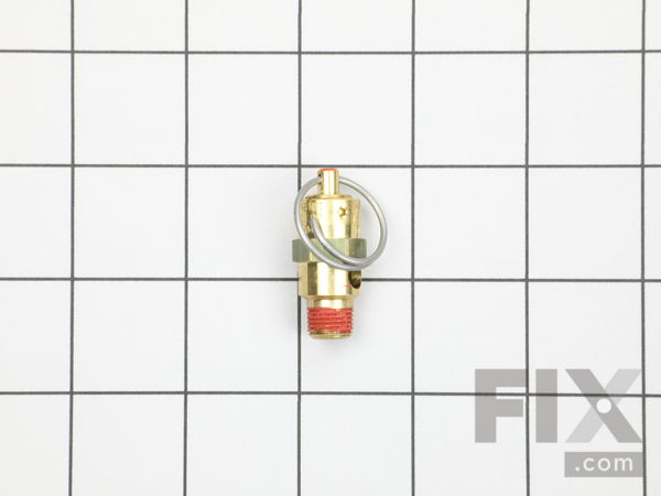 10105862-1-M-Porter Cable-1000000372-Safety Valve