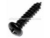 10106229-1-S-Porter Cable-1343051-Screw