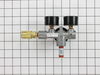 Manifold Assembly – Part Number: N246884