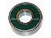 Ball BRG 6000 2RSL – Part Number: 02-04-0063