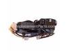 Electronic Module Assy – Part Number: 14-20-0055