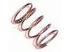 Compression Spring 6 – Part Number: 231098-8