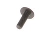 10144035-2-S-Makita-251314-2-Belt Hook Screw
