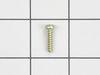 Tapping Screw BT M4X16 – Part Number: 265871-4