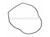 Seal Ring – Part Number: 421810-6
