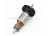 Armature Assembly 115V – Part Number: 517181-8